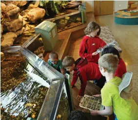  ?? ARKANSAS DEMOCRAT-GAZETTE FILE PHOTOS ?? Right: Vilonia Elementary School’s second-grade students engage in a scavenger hunt during a field trip to the Witt Stephens Jr. Central Arkansas Nature Center. Situated in Little Rock’s Riverfront Park, this center, both indoor and outdoor, highlights the rich variety of native fish and wildlife found in the Arkansas wetlands environmen­t.