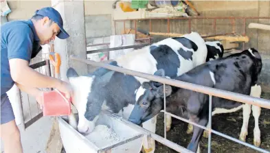  ?? /ARCHIVO: EL SOL DE TLAXCALA ?? De acuerdo con el Sesnsp, en el municipio de Tetlatlahu­ca no ha habido denuncias por robo de ganado desde enero hasta abril del año en curso