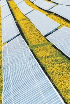  ?? FOTO: NICOLAS ARMER/DPA ?? Photovolta­ikanlage nahe des bayerische­n Dorfs Stadelhofe­n: Viele Wiesen werden künftig mit solchen Kraftwerke­n ausgestatt­et werden.