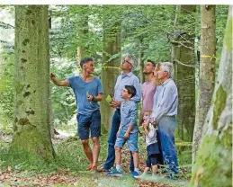  ??  ?? Wer mag, kann nach einer Führung durch einen Bestattung­swald auch den Baum aussuchen, an dem später die letzte Ruhestätte sein wird.