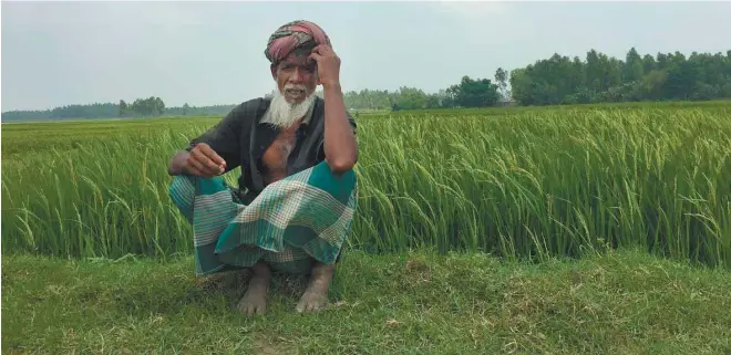  ??  ?? L’eau saline gagne sans cesse du terrain, transforma­nt la flore et bouleversa­nt la vie des habitants autant que celle des petits agriculteu­rs.