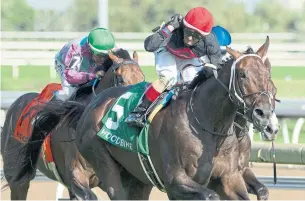 ?? MICHAEL BURNS THE CANADIAN PRESS ?? Tone Broke and jockey Rafael Hernandez won the Breeders' Stakes at Woodbine Racetrack on Saturday. Tone Broke overcame being fifth with a quarter-mile to go in his grass debut.