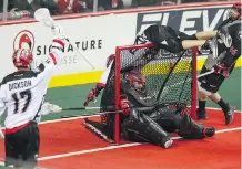  ?? BRITTON LEDINGHAM ?? Roughnecks forward Riley Loewen goes flying over the net after scoring against Vancouver Stealth goalie Tye Belanger Friday at the Scotiabank Saddledome. The Roughnecks were 15-12 winners.