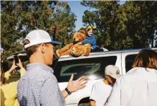  ?? ?? Left: Abigail Krumins holds a teddy bear on the roof of a car while tailgating with fans before the game.