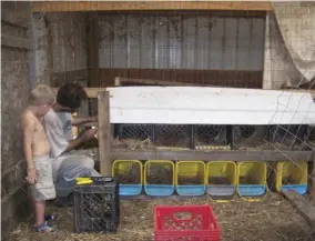  ??  ?? The author’s homemade nesting box setup is pictured.