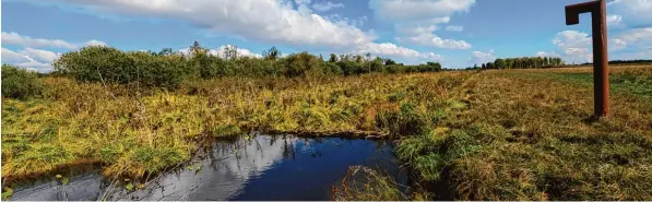  ?? Symbolfoto: Bernhard Weizenegge­r ?? Wenn der Wasserspie­gel im Donaumoos, wie in einer Studie angeregt, erhöht wird, fürchten Landwirte um ihre Existenz und Anlieger befürchten vollgelauf­ene Keller.