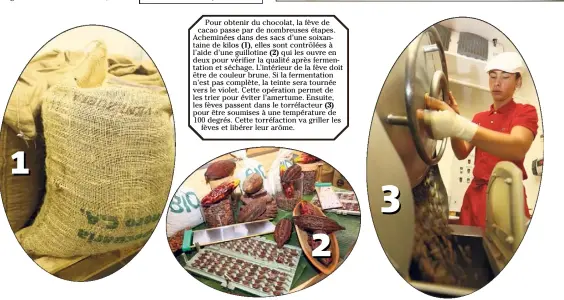  ??  ?? Pour obtenir du chocolat, la fève de cacao passe par de nombreuses étapes. Acheminées dans des sacs d’une soixantain­e de kilos (1), elles sont contrôlées à l’aide d’une guillotine (2) qui les ouvre en deux pour vérifier la qualité après fermentati­on et...