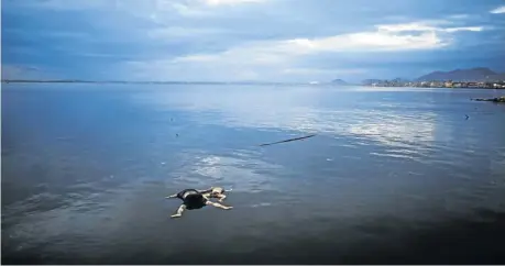  ?? Picture: REUTERS ?? NATURE’S WRATH: The bodies of a woman and child, victims of super typhoon Haiyan, float in the sea off Tacloban yesterday. The death toll from one of the world’s most powerful typhoons surged this weekend, but the aid effort was still a struggle as...