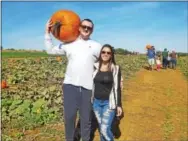  ?? BILL RETTEW JR. – DIGITAL FIRST MEDIA ?? Tyler Foreman, of Malvern, and Mindy Meute, of West Grove, pick one of Milky Way Farm’s biggest pumpkins.