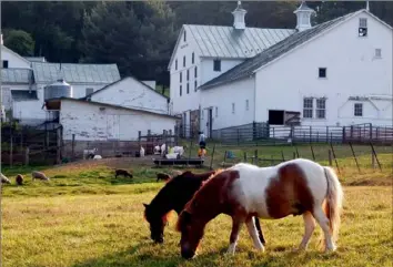  ?? Malabar Farm ?? Horses graze by Malabar Farm State Park’s barn in Lucas, Ohio.
