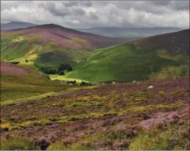  ??  ?? An applicatio­n has been made for a agri-environmen­t scheme for the Wicklow uplands.