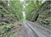  ?? ?? South of the viaduct and tunnel is a large shale cutting through Shillamill Wood. The former formation is currently being used by the Forestry Commission as a haul road, with this view looking towards Tavistock and Okehampton.