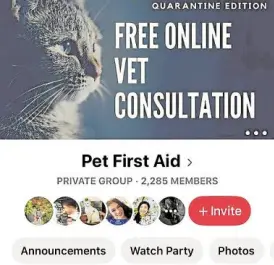  ?? —PHOTOGRAB FROM PET FIRST AID FB PAGE ?? ONLINE HELP DESK Initially set up for some workshops on animal health-related issues, the Pet First Aid FB page has become a site where one can get profession­al advice for their sick pets.