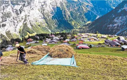  ?? RICK STEVES/RICK STEVES’ EUROPE ?? A farmer loads up his tarp for a hayride directly to the barn.