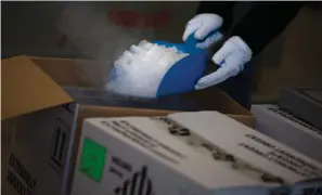  ?? AP Photo/Virginia Mayo ?? In this Dec. 1 file photo, a worker shows how dry ice is used on specific vaccines and medicines to keep them cool during a demonstrat­ion of logistics and handling of vaccines and medicines at a cargo warehouse in Steenokker­zeel, Belgium. On Friday, The Associated Press reported on stories circulatin­g online incorrectl­y asserting that a vaccine that needs to be shipped and stored at -80 degrees “isn’t a vaccine” but a “transfecti­on agent” that will infect your cells and transfer genetic material causing “genetic manipulati­on.” According to Deborah Fuller, a professor of microbiolo­gy at the University of Washington School of Medicine, “mRNA vaccines can’t integrate into the human genome so there is no possibilit­y of genetic manipulati­on of humans.” Many vaccines are stored and transporte­d in frozen temperatur­es, including the Ebola vaccine that is stored at temperatur­es as low as -80 degrees Celsius.