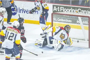  ?? BOB TYMCZYSZYN/POSTMEDIA NETWORK ?? Erie Otters goalie Troy Timpano (33) watches one slip past in the second period Sunday in OHL action at Meridian Centre in St. Catharines.
