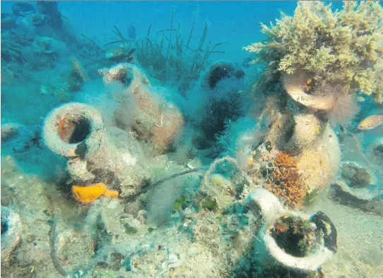  ?? GEO DELVEROUDI­S/THE ASSOCIATED PRESS ?? Marine life grows on ancient terracotta jugs at the site of a shipwreck more than 1,600 years ago off the coast of Albania.