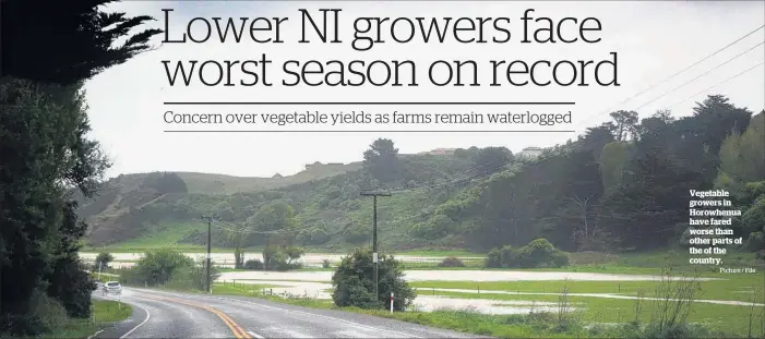  ?? Picture / File ?? Vegetable growers in Horowhenua have fared worse than other parts of the of the country.