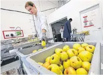  ?? ERIC WYNNE • THE CHRONICLE HERALD ?? Evan Johnson cores non-market grade apples at Outcast Foods in Burnside.