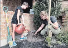  ??  ?? Quinlan Mormul helps Taylor Wilkes, water landscape co-ordinator with GreenUp, plant Water Wise garden at her Kawartha Heights Blvd. home.