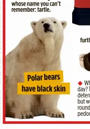  ??  ?? Polar bears have black skin