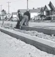  ??  ?? Workers making the concrete median strip in Ormond Rd in 1961.