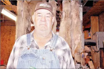  ?? RACHEL DICKERSON/MCDONALD COUNTY PRESS ?? Loren Garren of Goodman is pictured in front of some coyote furs. He has been buying furs for 52 years.