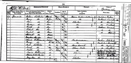  ??  ?? The 1851 Census reveals eight people lodging with Wilson and Mary and their details look very much like they are members of Wilson's extended family