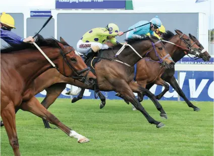  ?? Picture: Wayne Marks ?? TIGHT FINISH. Legal Eagle wins the Green Point Stakes at Kenilworth on Saturday - but only a head separated the first four past the post.