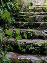  ??  ?? Stone steps.