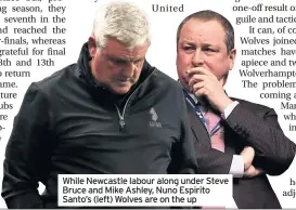  ??  ?? While Newcastle labour along under Steve Bruce and Mike Ashley, Nuno Espirito Santo’s (left) Wolves are on the up