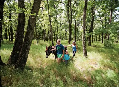  ?? Safran Tours ?? ABOVE: “Family Walking Holidays with a Donkey in France”
are offered by Responsibl­e Travel.