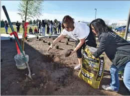  ?? Dan Watson/The Signal ?? Golden Valley High School cheer team moms Rosie Gama, left, and Sandy Fiore prepare the soil before a tree is planted at Golden Valley High School on Saturday in honor of cheer coach Edward Santos who died in 2017.