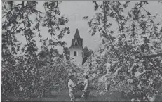  ?? FILE PHOTO ?? A photo used in the 1983 edition of the Apple Blossom Festival souvenir program of a church in Canard surrounded by apple blossoms.