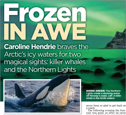  ??  ?? goIng green: The Northern Lights create a stunning scene off Norway’s coast. Left: A killer whale in the Arctic waters