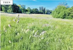  ?? ?? A walker had praised the council as he thought was it was rewilding the ex-golf course