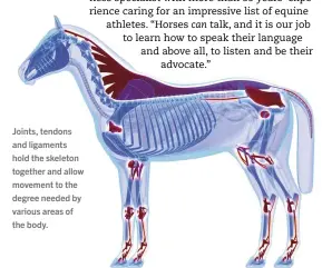  ??  ?? [
Joints, tendons and ligaments hold the skeleton together and allow movement to the degree needed by various areas of the body. ]