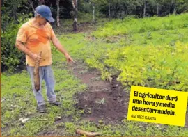  ?? ANDRÉS GARITA ?? El agricultor duró una hora y media desente r ra n d o l a.