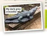  ??  ?? My dark grey crocodile