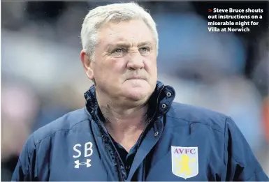  ??  ?? >
Steve Bruce shouts out instructio­ns on a miserable night for Villa at Norwich