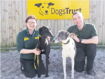  ??  ?? Home appeal Dogs Trust experts are looking for a new owner for Carla and Voss