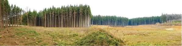  ?? Fotos: Bernhard Weizenegge­r ?? Links im Bild ist der Bereich der Grube Remshart zu sehen, in dem für den zweiten Abschnitt die Bäume gefällt wurden. Rechts im Hintergrun­d ist der bereits ausgebeute­te Teil.