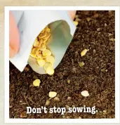  ??  ?? Don’t stop sowing.