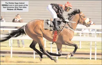  ?? Picture: JC Photos ?? The Robbie Sage-trained DEWALI runs in race seven at the Vaal tomorrow. Muzi Yeni rides.