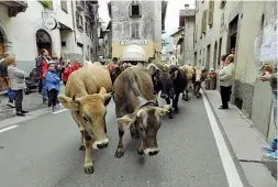  ??  ?? L’eventoLe mucche e le capre lasciano gli alpeggi estivi per tornare nelle stalle: il viaggio di ritorno passa per le vie di Bagolino. Un’occasione per fare festa e scoprire gli antichi sapori del formaggio fatto in montagna