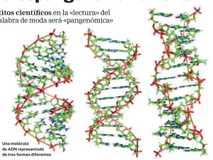  ?? ?? Una molécula de ADN representa­da de tres formas diferentes