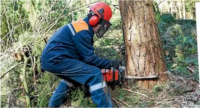  ?? 123RF ?? Working in forestry is one of the most dangerous jobs in the country but, more than the machinery, it could well be the lifestyle of the workers that causes health problems.