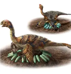  ??  ?? Undated artist impression released by the University of Nagoya shows a reconstruc­tion of oviraptoro­sour dinosaurs incubating eggs. — AFP photo