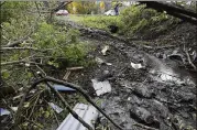  ?? HANS PENNINK / ASSOCIATED PRESS ?? Debris is scattered along the ground at the site of a fatal crash of a stretch limousine Saturday in Schoharie, New York, that left 20 people dead.