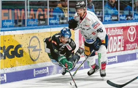  ?? Foto: Siegfried Kerpf ?? Jakob Mayenschei­n und die Augsburger Panther legten auch gegen die Eisbären Berlin eine Bauchlandu­ng hin. Erneut verlor die Mannschaft von Trainer Tray Tuomie ein Heimspiel.